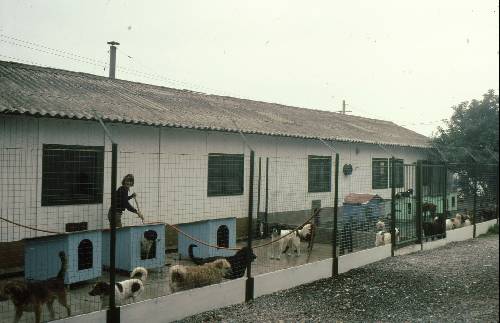 Le refuge du Chemin-Vert quartier du Fort-Nieulay, de 1968 à fin juin 2000